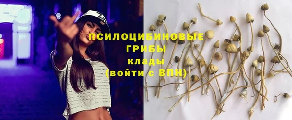 молекула духа Алзамай